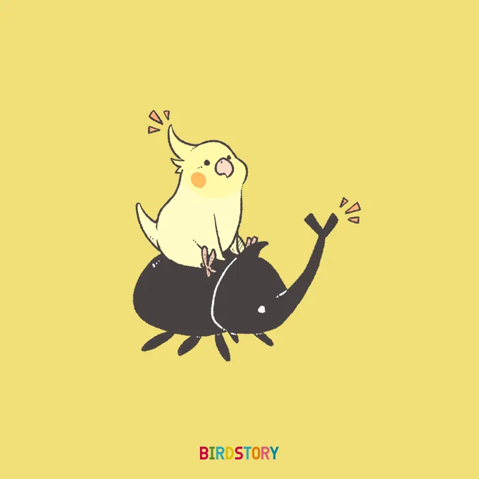おはようございます。
本日は6月4日、ムシの語呂合わせから虫の日とのことです🐞
#BIRDSTORY 
#虫の日 #カブトムシ #オカメインコ 