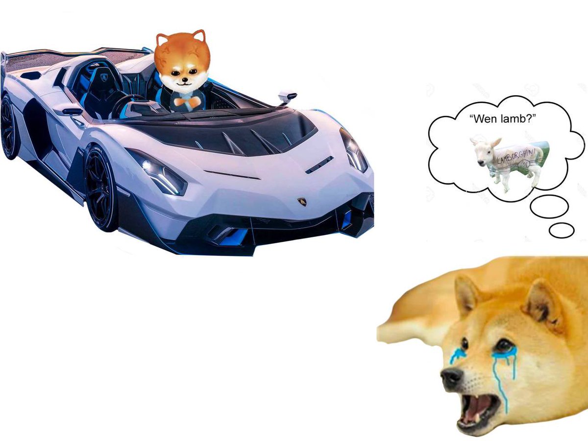 cryptoflamex's tweet photo. @bezoge #bezoge to the moon. Wen lambo??! 🤣🤣🤣🤣

$emax #emax #doge #dogecoin #shin #shibarmy #shibaswap https://t.co/IsVUK6fdFg