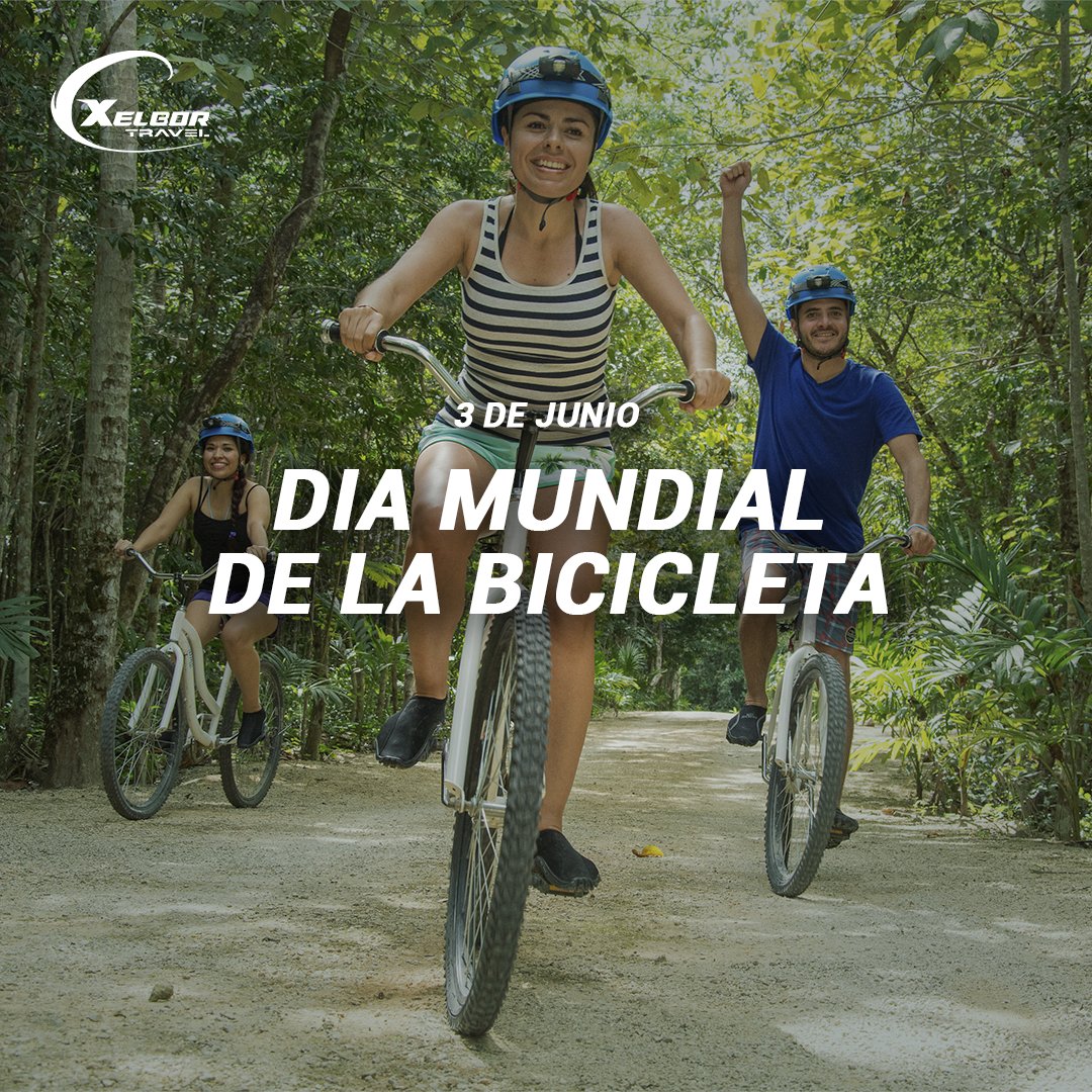 XelborTransfer's tweet photo. Tu amigo de dos ruedas #Ecofriendly siempre en los mejores momentos. #FelizDíaMundialDeLaBicicleta 🚲 https://t.co/Uhs7GrNcaA