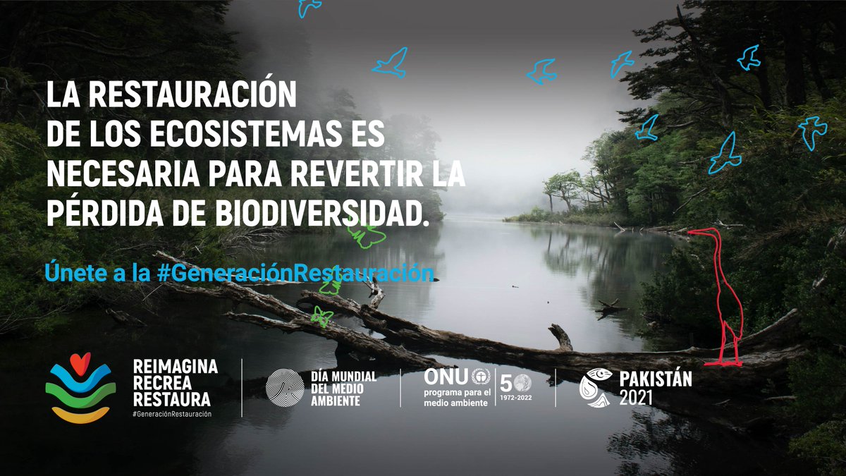 onuvenezuela's tweet photo. #DiaMundialDelMedioAmbiente 

Solo con ecosistemas saludables podemos:
Mejorar los medios vida de de las personas  👥
Contrarrestar el cambio climático 🌿
Detener el colapso de la biodiversidad 🏞️

#GeneraciónRestauración https://t.co/13xgvJxDIP