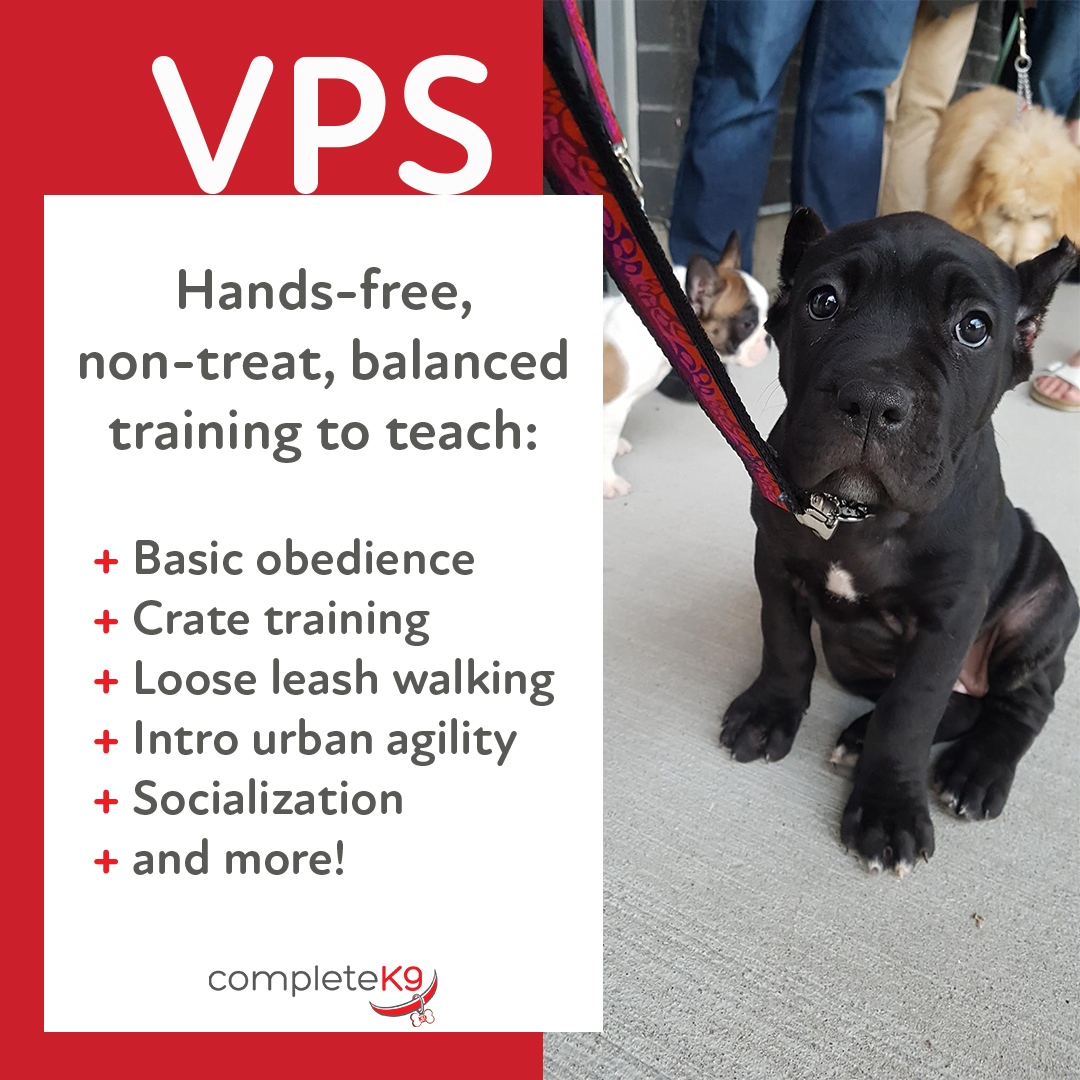 Complete K9 Inc. tweet media