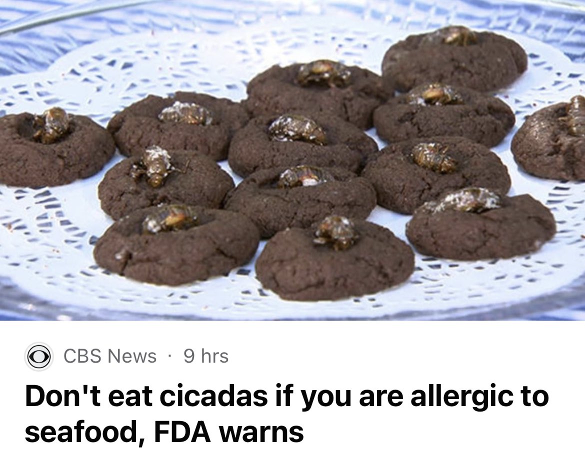 Wesleigh Mowry tweet media