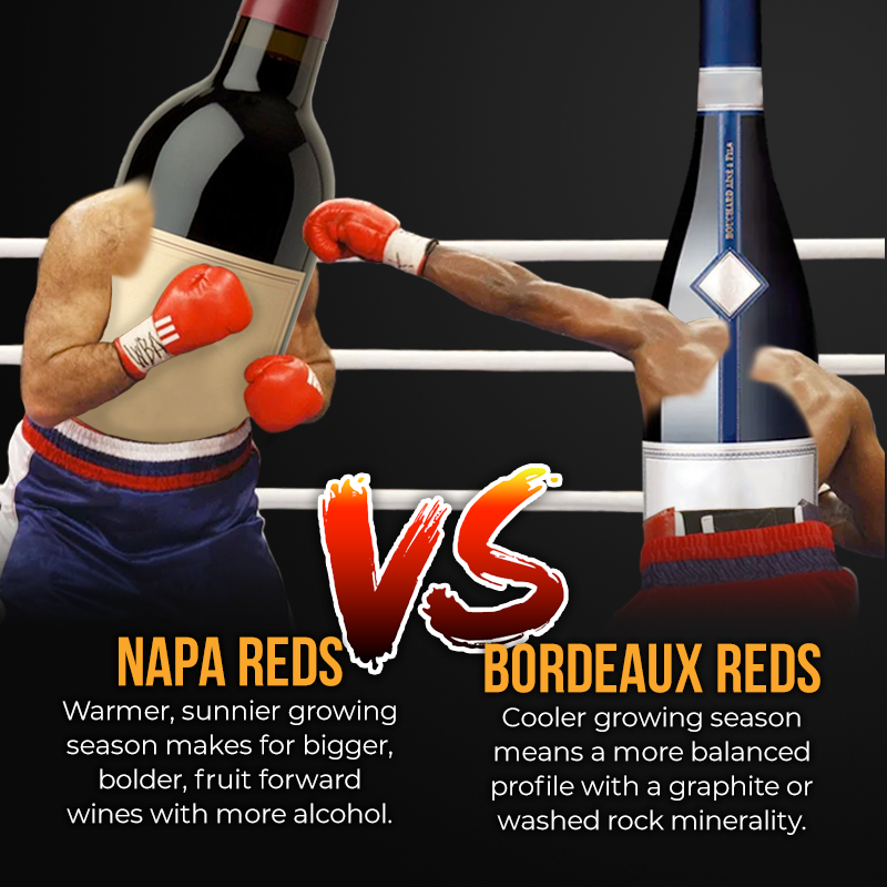 Underground Cellar tweet media