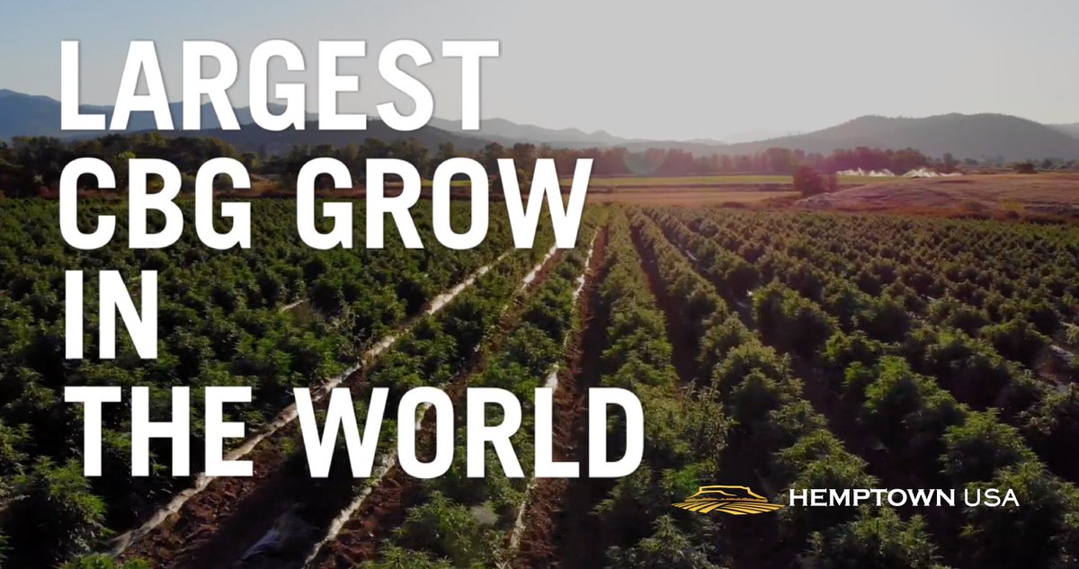 Hemptown USA tweet media