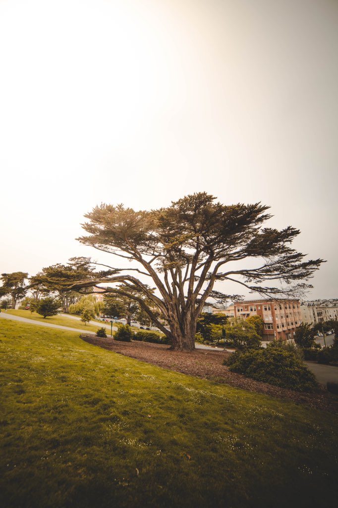 Tannr's tweet photo. A walk through San Francisco https://t.co/tdvOJzC4sa