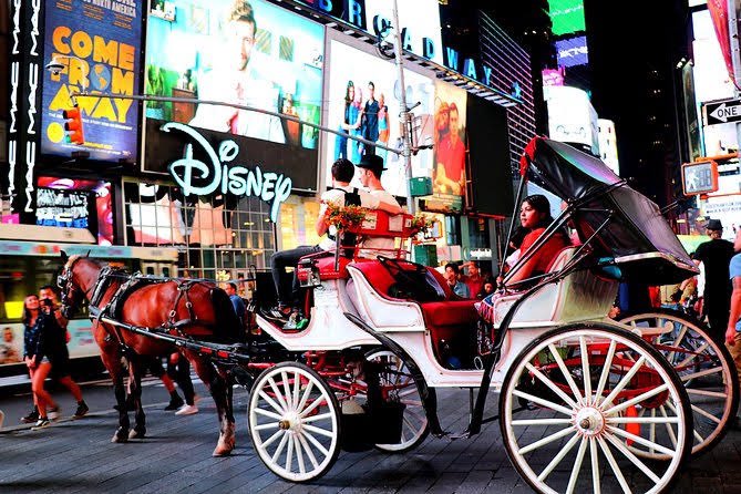 ReichAnimalista's tweet photo. En Paris y N.Y.  no estan tan avanzados como nosotros, ellos si siguen teniendo enganches.  La prohibición no es la solución #AnimalistasRadicales #1erMundo 🐴 https://t.co/MGI5lu2ixv