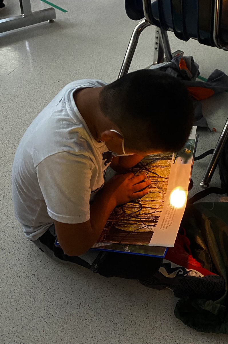 ms_inverso's tweet photo. Did you know you can read in the dark? Just use flashlights and lanterns! ππ¦ #campoutreading @WoodburnES https://t.co/tukqXld1DQ