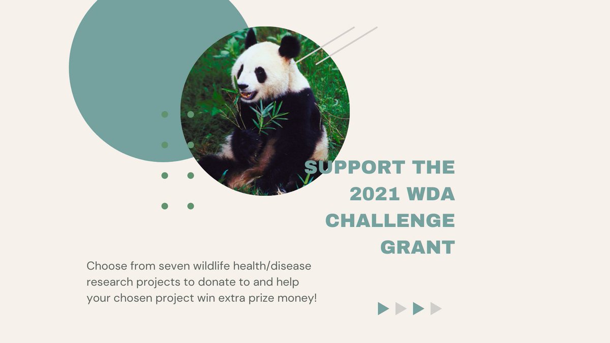 The 2021 WDA Grant through experiment has launched!

Head to experiment.com/grants/wda2021 to learn about the projects and support your favorite one.