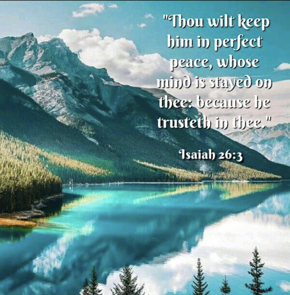 🐦Sandy Hanna🐦 (@mrssjhanna) on Twitter photo 