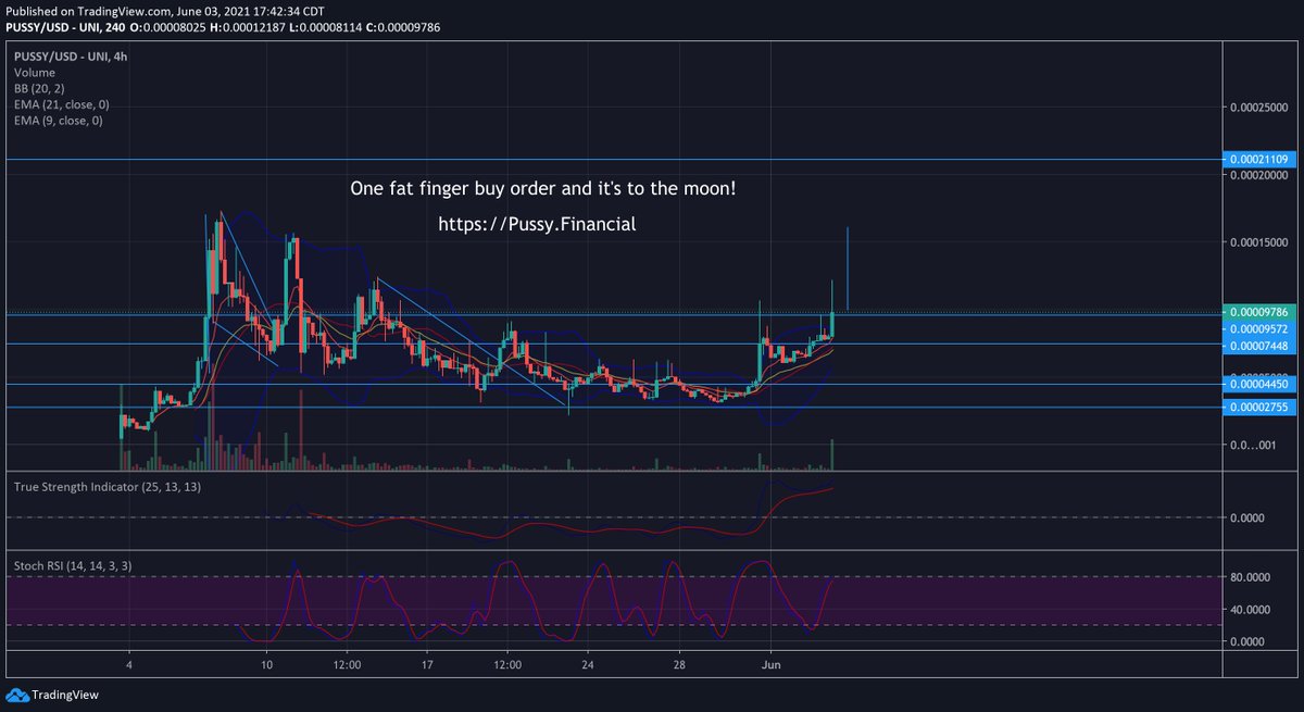 realstlchris's tweet photo. Consolidation on a shit coin?  Whales moving for this Gem next. $pussy I think we picked a decent gamble with this one folks, looks moon bound, am very excited for the PussyDao LFG @PUSSYFinancial  #doge #killer #meme #crypto @JODYHiGHROLLER LFG homie! #gang https://t.co/ujrndduhkl