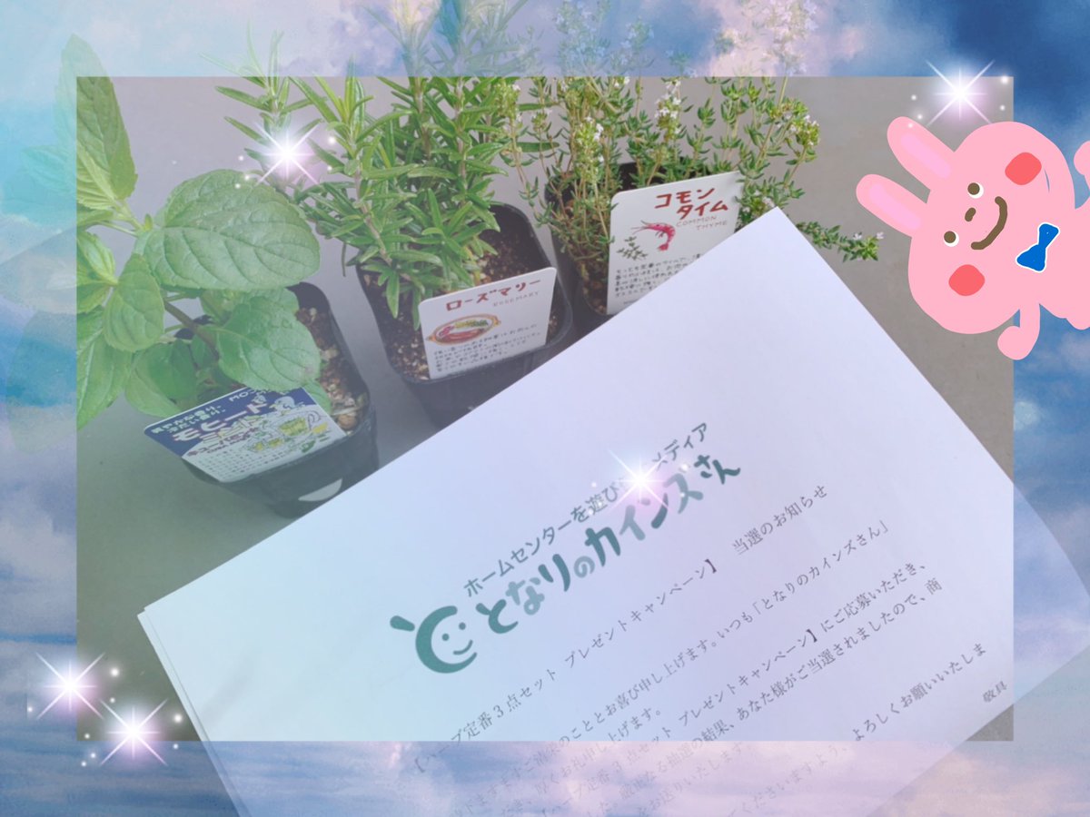 金のシャチホコ Vbesnr07ksqs9fb Twitter