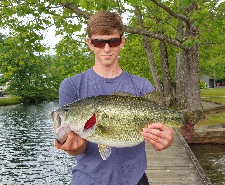 Fishin &amp; camping trip GA mountains going good appreciated this 7.12 fatty! Hope everyone's week is going great friends! <a href="/JenniPrickett/">Jenni 🐟🎣</a>
<a href="/F150SuperSnake/">Shelby Man 🐍</a> #basslife #familyfishing