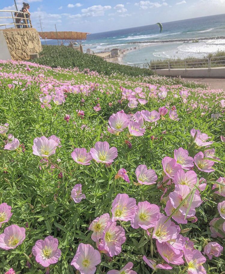 Sir. Kipsta tweet media