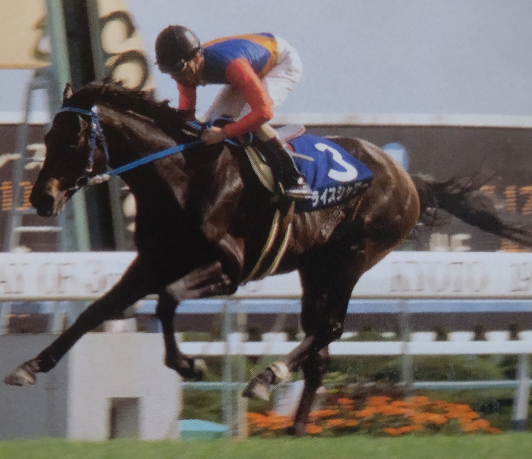 Stay Dream 孤高のステイヤー ライスシャワー 漆黒で小柄な馬体 そこに秘めたる勝負根性で 長距離戦では無類の勝負強さを発揮しました 6月5日はライスシャワーの命日です 名馬 命日 T Co Zzup9avk4w Twitter