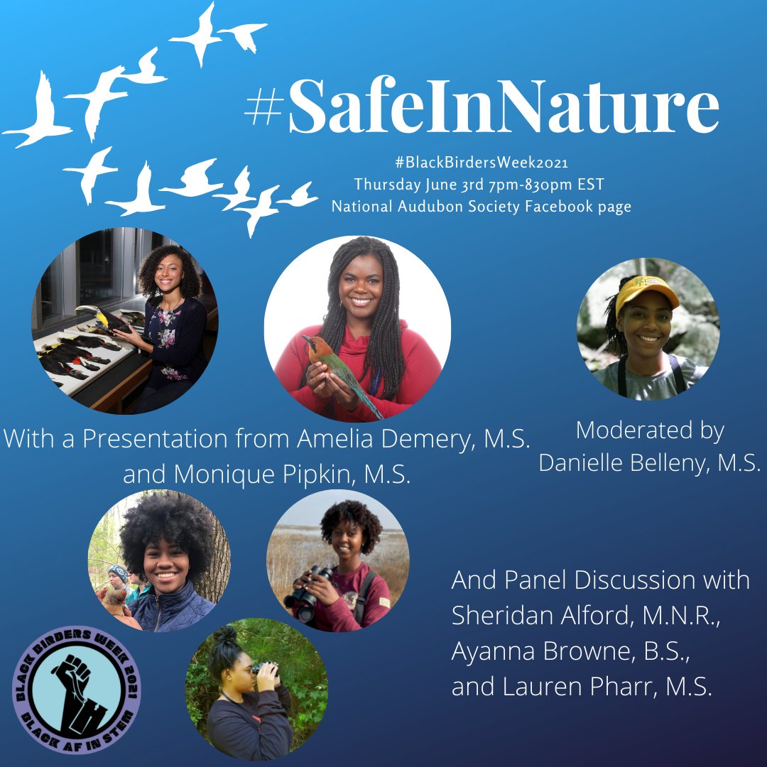 Join us now on Facebook live for <a href="/BlackAFinStem/">BlackAFinSTEM</a>'s #SafeInNature event about staying safe when birding &amp; working outdoors—featuring a presentation on fieldwork safety by @MoniquePipkin &amp; Amelia Demery, M.S. (@acdemery), along with a panel discussion. facebook.com/watch/live/?v=…