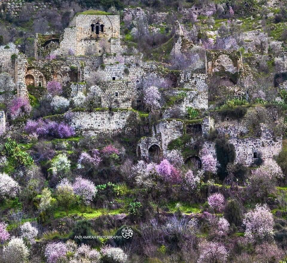 This is the Palestinian village of Lifta. Israeli forces ethnically cleansed it in 1948. Now, they are planning to demolish it to build Israeli housing units.