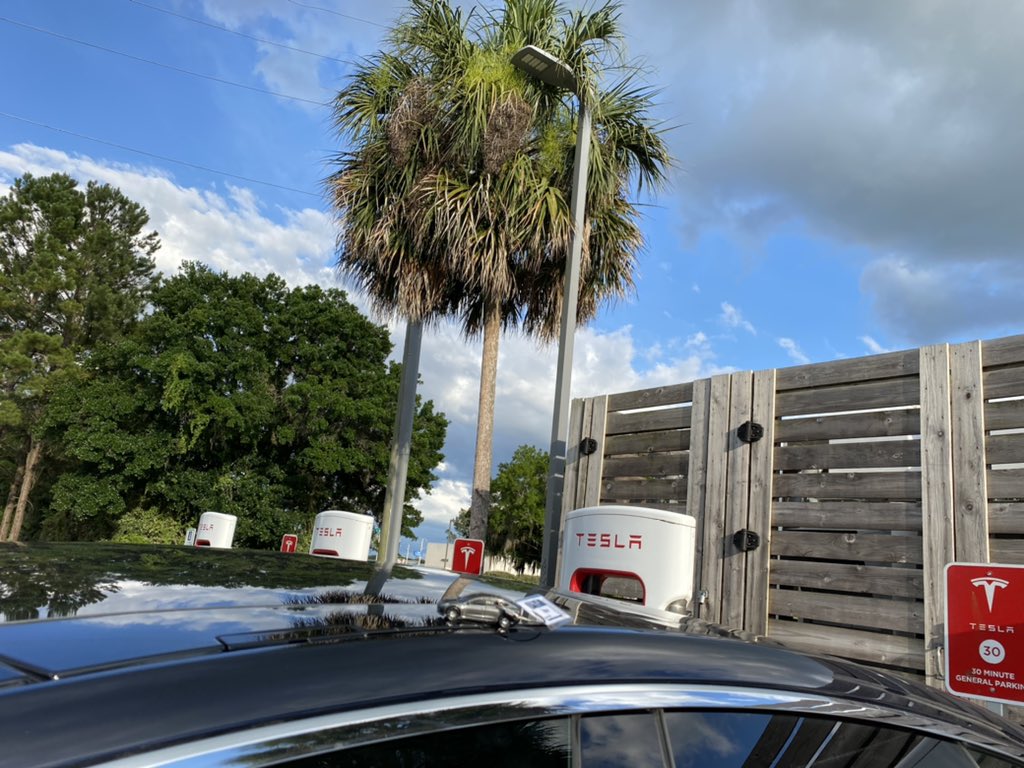 Tim Nifong tweet media