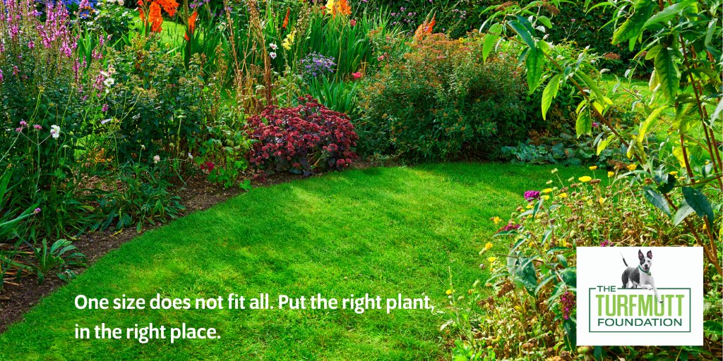 TurfMutt's tweet photo. One size does not fit all. Put the right plant in the right place. #LivingLandscapes #Backyarding #BackyardMore https://t.co/cX2rtV564l
