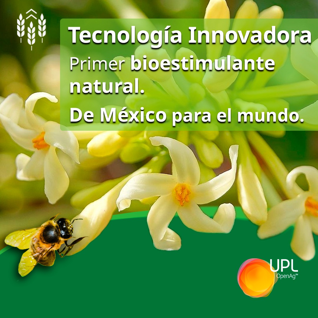 uplagro_mexico's tweet photo. Biozyme® ¡Deja que el potencial se exprese! 🙌🏻🌾
Obtén mejores resultados de forma sostenible y respetuosa con el medio ambiente con el #BioestimulanteNatural Biozyme® TF de UPL. 🌎🌱♻💚
Acércate a los expertos 👉🏻 https://t.co/w9FeO6o7et
#BioSolucionesUPL #BiozymeTF https://t.co/svbdepLMW7