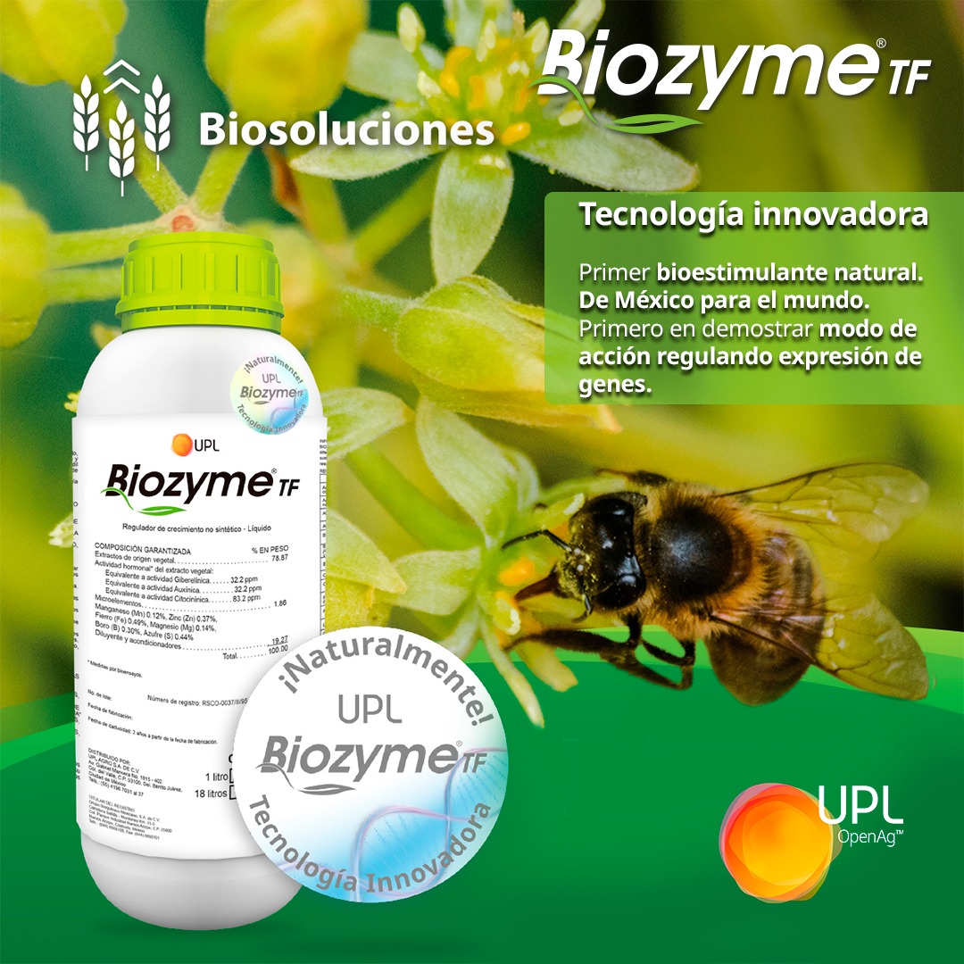 uplagro_mexico's tweet photo. Biozyme® ¡Deja que el potencial se exprese! 🙌🏻🌾
Obtén mejores resultados de forma sostenible y respetuosa con el medio ambiente con el #BioestimulanteNatural Biozyme® TF de UPL. 🌎🌱♻💚
Acércate a los expertos 👉🏻 https://t.co/w9FeO6o7et
#BioSolucionesUPL #BiozymeTF https://t.co/svbdepLMW7