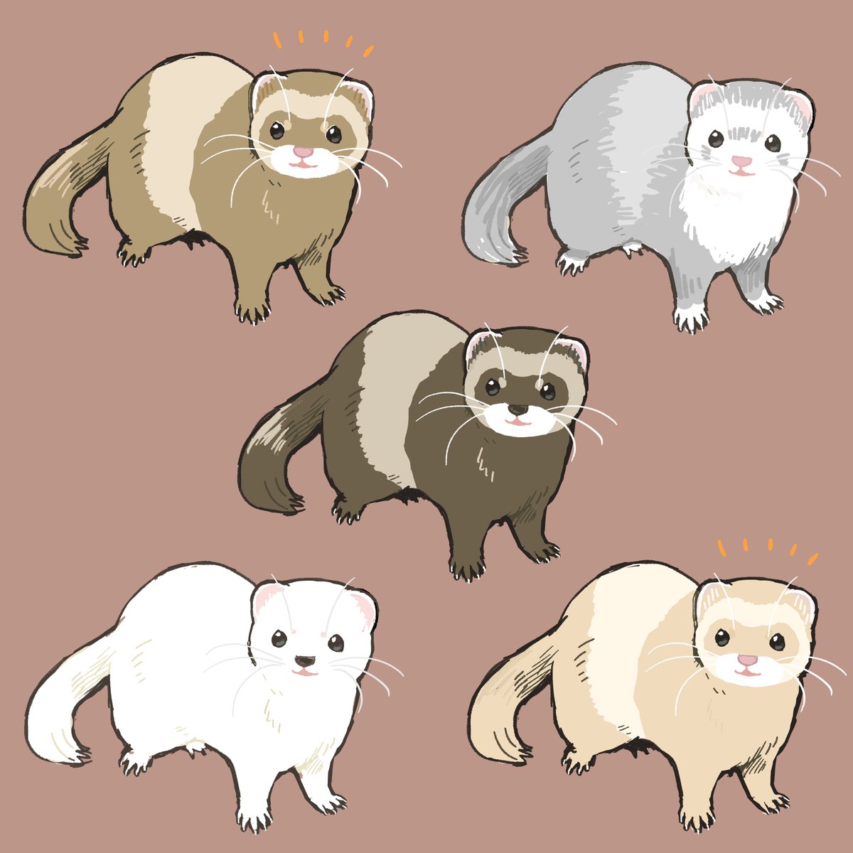 Twoucan フェレット の注目ツイート イラスト マンガ Twoucan フェレット の注目ツイート イラスト マンガ