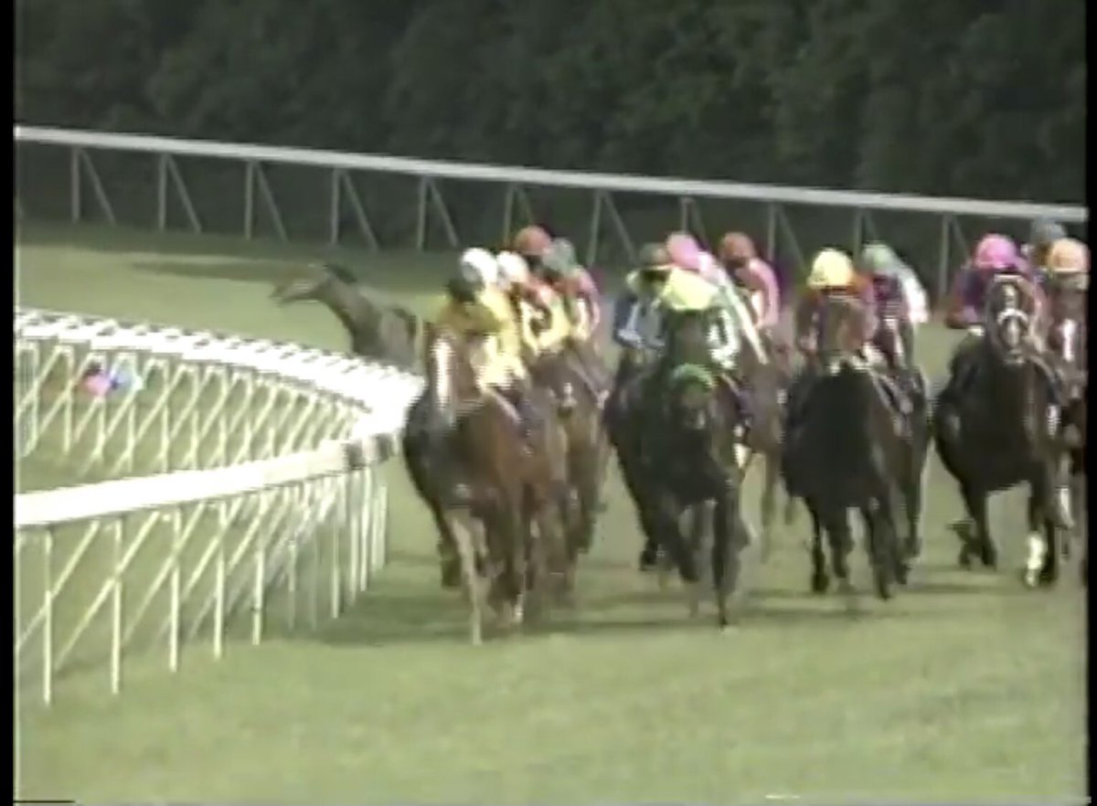 ライスシャワー 26年前の今日、95年6月4日は第36回 宝塚記念が開催され