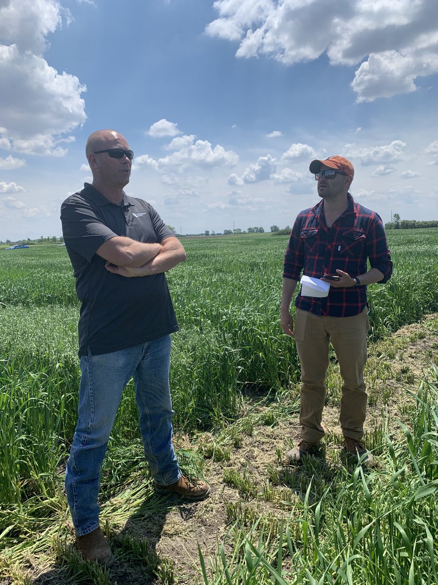JRutkoski's tweet photo. Had a great discussion with the guys from Northern Star today ⁦@jdarbelaez⁩ about the wheat and especially oat germplasm. Dissemination of varieties begins here! https://t.co/kMZZCdp8ri