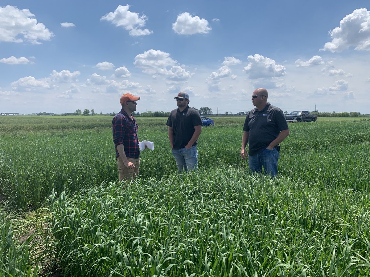 JRutkoski's tweet photo. Had a great discussion with the guys from Northern Star today ⁦@jdarbelaez⁩ about the wheat and especially oat germplasm. Dissemination of varieties begins here! https://t.co/kMZZCdp8ri