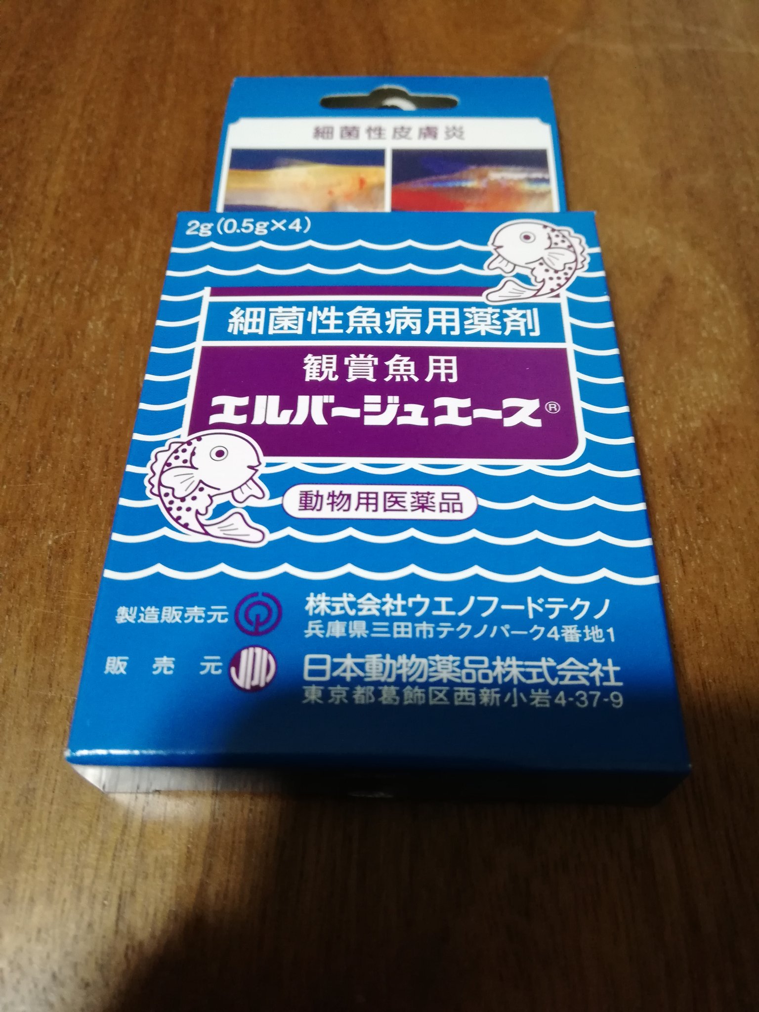 Mst アクアリウム 昨日夜な夜なベタの水換え メチレンブルー薬浴から 急遽 エルバージュエース 薬浴へ お腹のポッコリと白い が 腹水病の症状 老体のベタよ 早く治りますように ベタ エロモナス 腹水病 T Co Rwu0oqtk7p Twitter Mst アクアリウム 昨日夜な夜なベタの水換え メチレンブルー薬浴から 急遽 エルバージュエース 薬浴へ お腹のポッコリと白い が 腹水病の症状 老体のベタよ 早く治りますように ベタ エロモナス 腹水病 T Co Rwu0oqtk7p Twitter