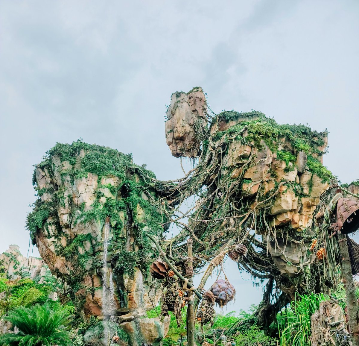 aliciaTTV's tweet photo. Pandora World of Avatar is visually stunning! #TravelWithFTC #SocialDisneying #MoreFunIn21 #FTCExploresWaltDisneyWorld https://t.co/GI2H9SVqt9