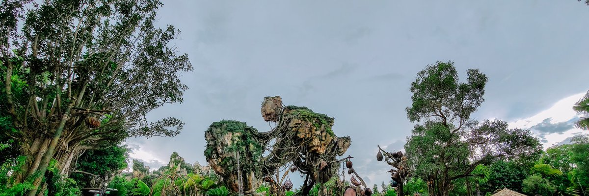 aliciaTTV's tweet photo. Pandora World of Avatar is visually stunning! #TravelWithFTC #SocialDisneying #MoreFunIn21 #FTCExploresWaltDisneyWorld https://t.co/GI2H9SVqt9