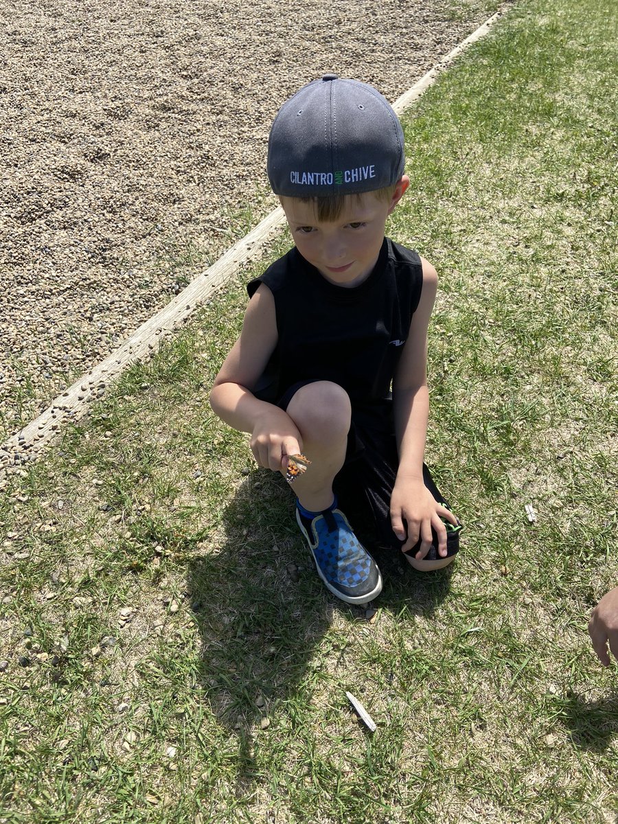 We released our butterflies this week and enjoyed a trip to the fairytale forest. The Ss have also been loving the camping centre. J really liked sitting by the campfire &amp; reading to her baby today. <a href="/EJSMSchool/">Ecole J S McCormick</a>