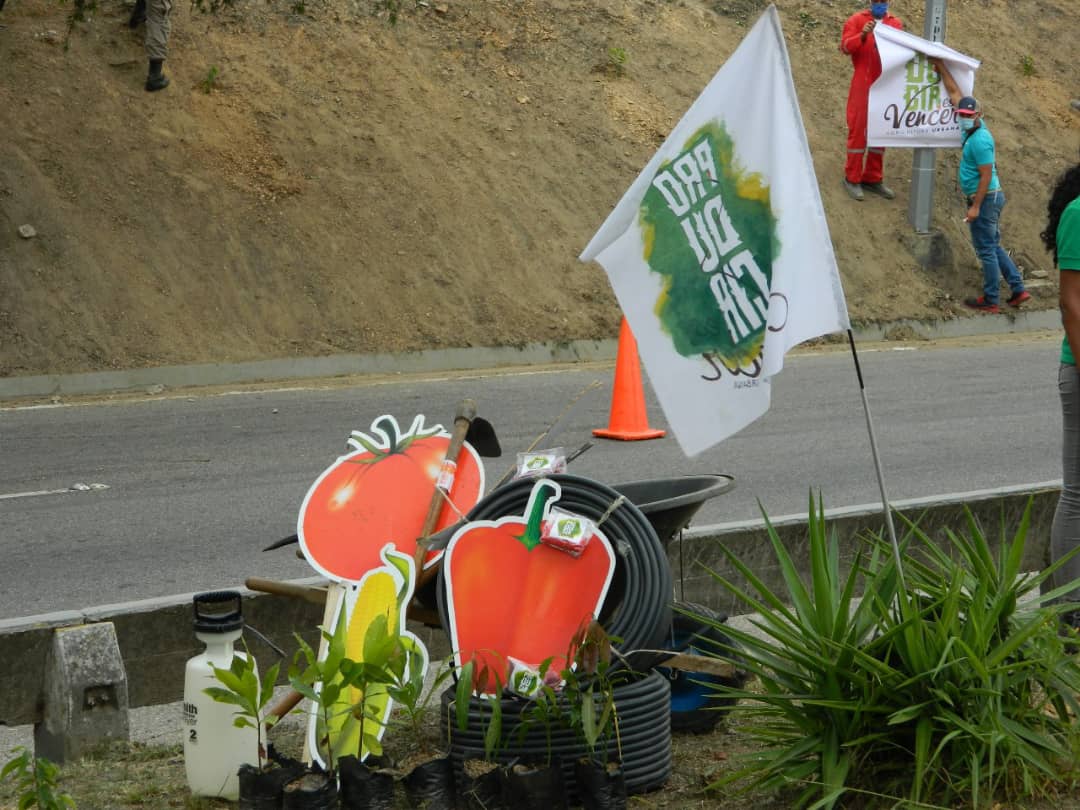 Viceagrourbana's tweet photo. #Reporte|Plan de Murallas Vegetales Jornada de Siembra de Rubros de Guerra, desplegada en Distrito Capital, el día de hoy #3Junio.  Producción de vegetales en avenidas de Caracas, motivando el cultivo urbano, en contra de los bloqueos hacía Venezuela. #InveciblesHoy https://t.co/tQiL8Dj4PB