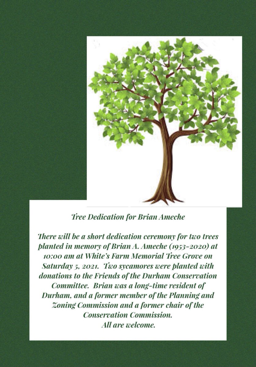 DurhamCtDems's tweet photo. Join us 🌳 https://t.co/WnABgBMUlj