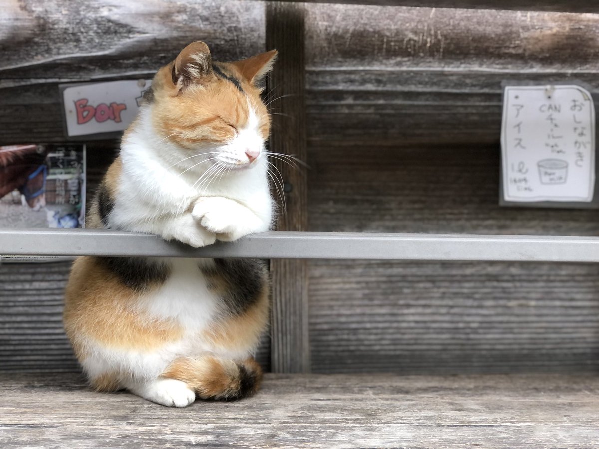 すどうくん 超多忙 フォルムが最強にかわいい