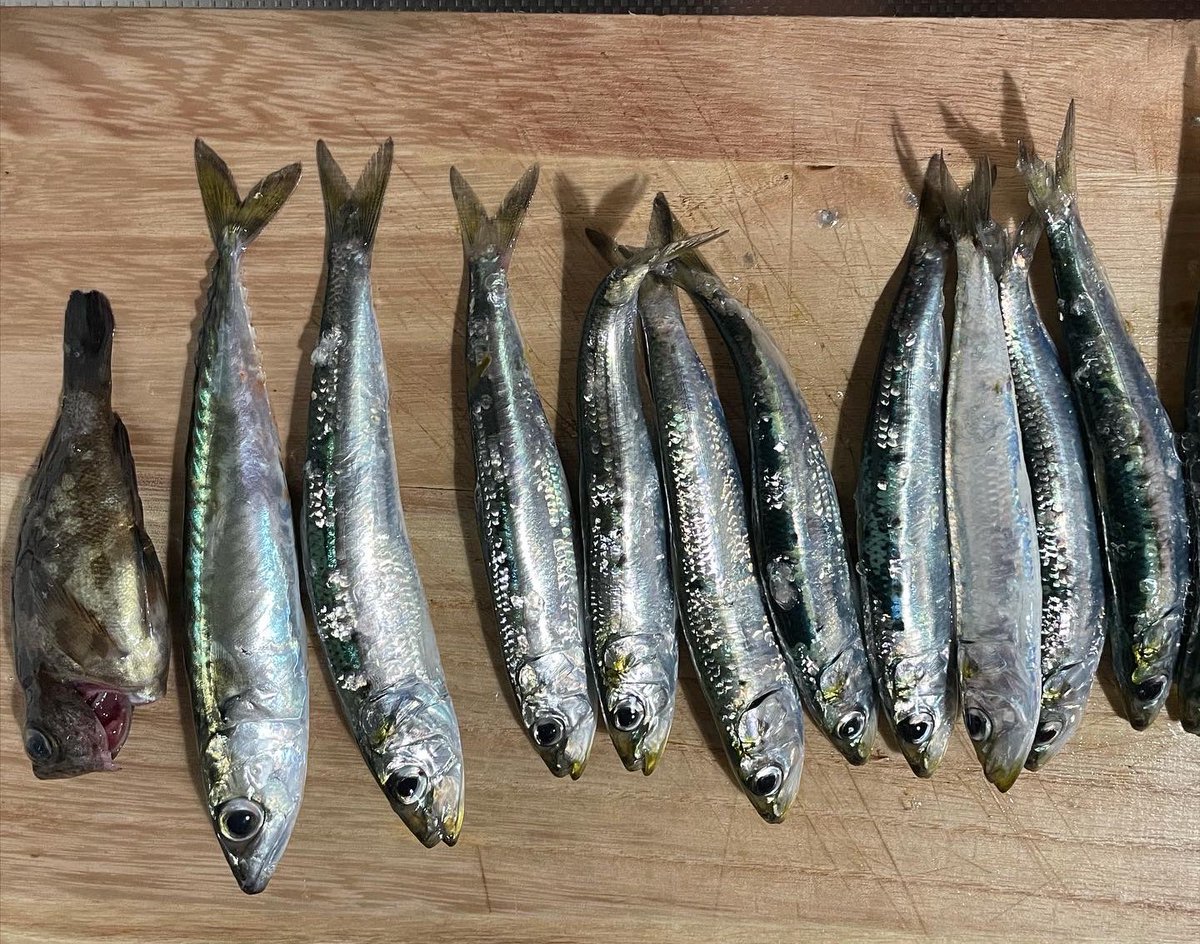 H 3m仙台港パーク Etiketa Sto Twitter