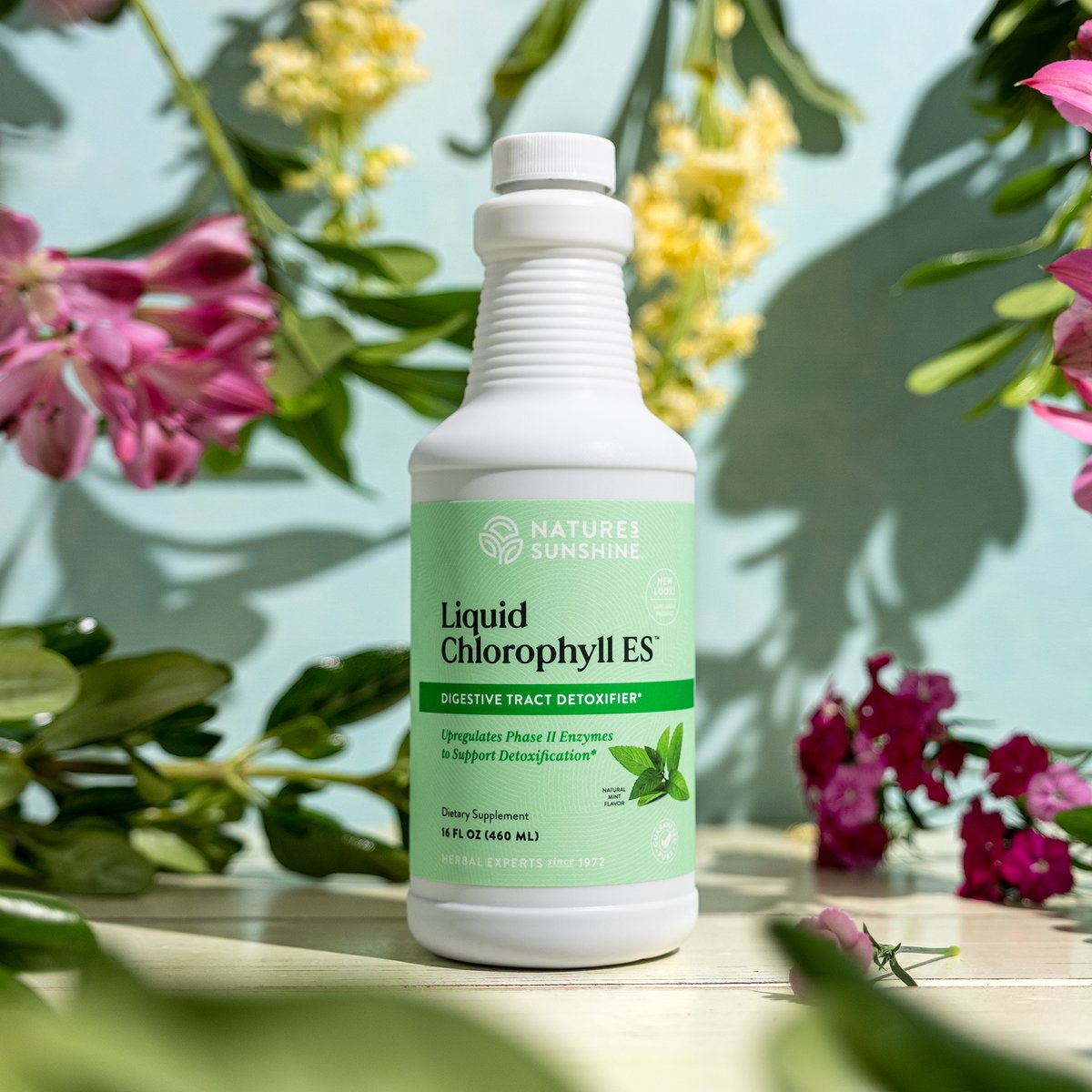 Liquid Chlorophyll ES supports gut health AND has been studied for skin health benefits. 💁‍♀️ Have you tried Liquid Chlorophyll? 🙋‍♀️