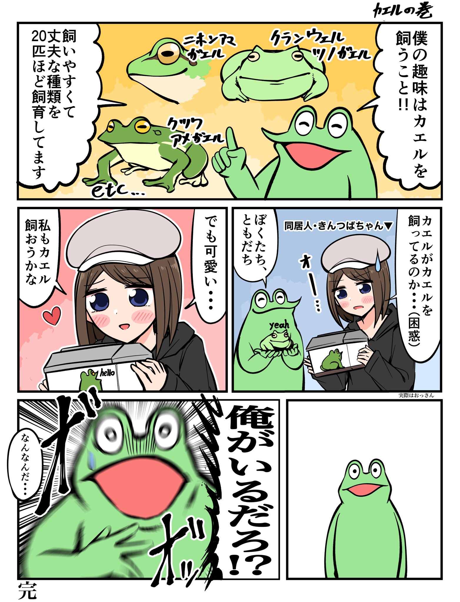 カエルDX on X: 