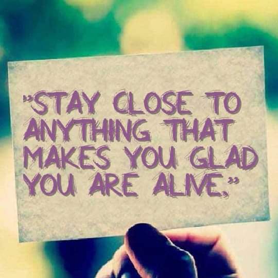 JENcb19's tweet photo. #quote 
#quotes 
#justsaying 
#lifehack 
#life https://t.co/OfhBHMM5PM