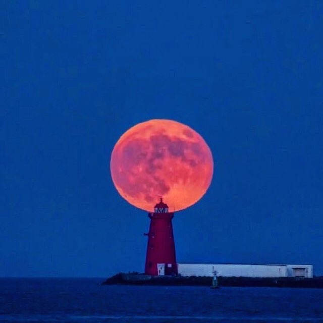 AstronomyIRL's tweet photo. Poolbeg Lighthouse cradles supermoon❤️🇮🇪 #éire https://t.co/5E0mdQMc3R