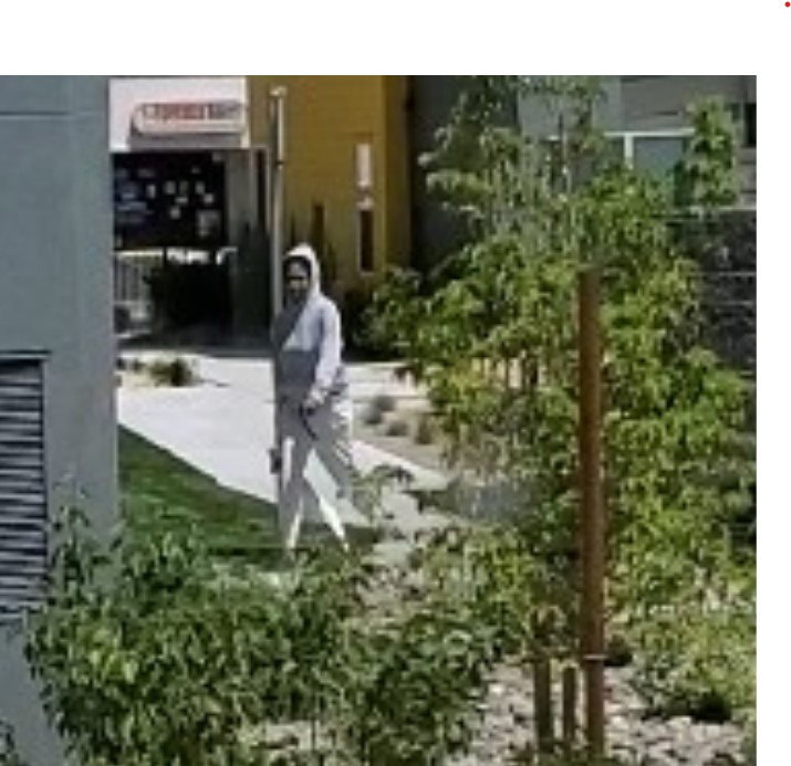 Washoe County on Twitter: Washoe County on Twitter: