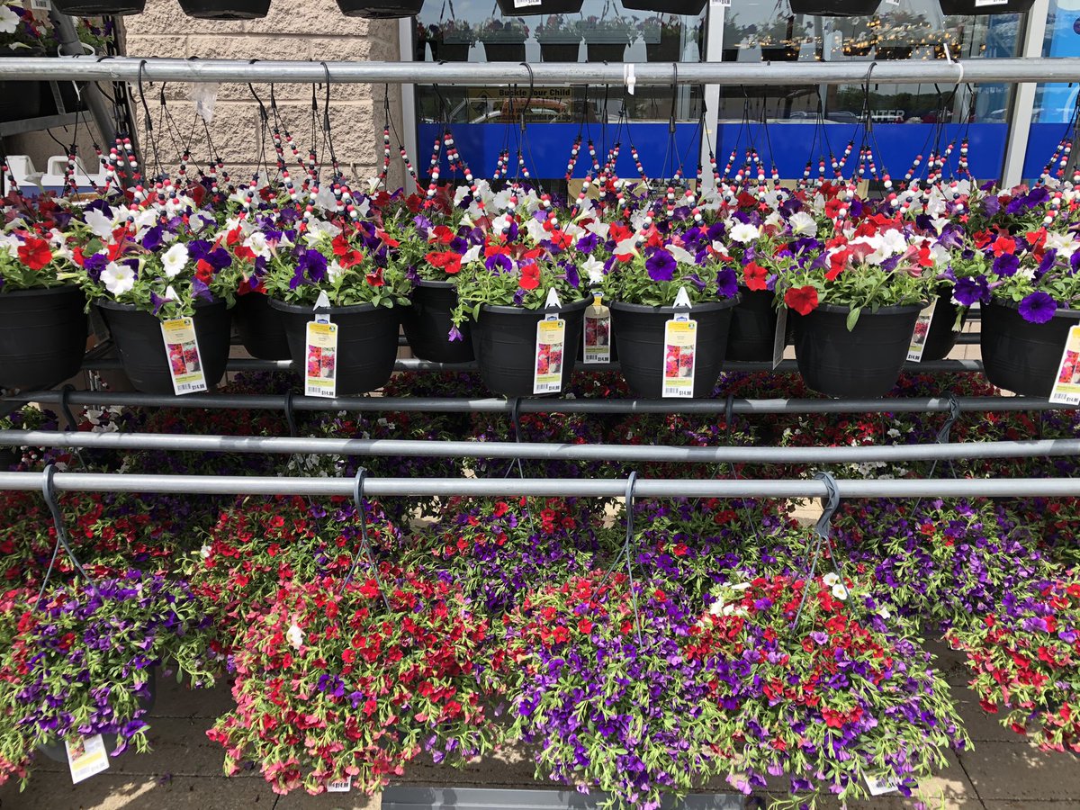 Todd S. - Battlefieldfarms tweet media