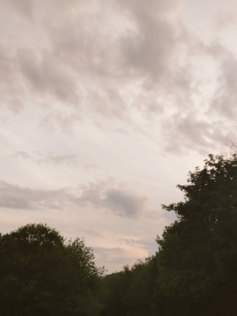 louisehawxwell's tweet photo. Wispy skies during this evening's stomp #100MilesinMayforMind https://t.co/M9OQgxT2BK
