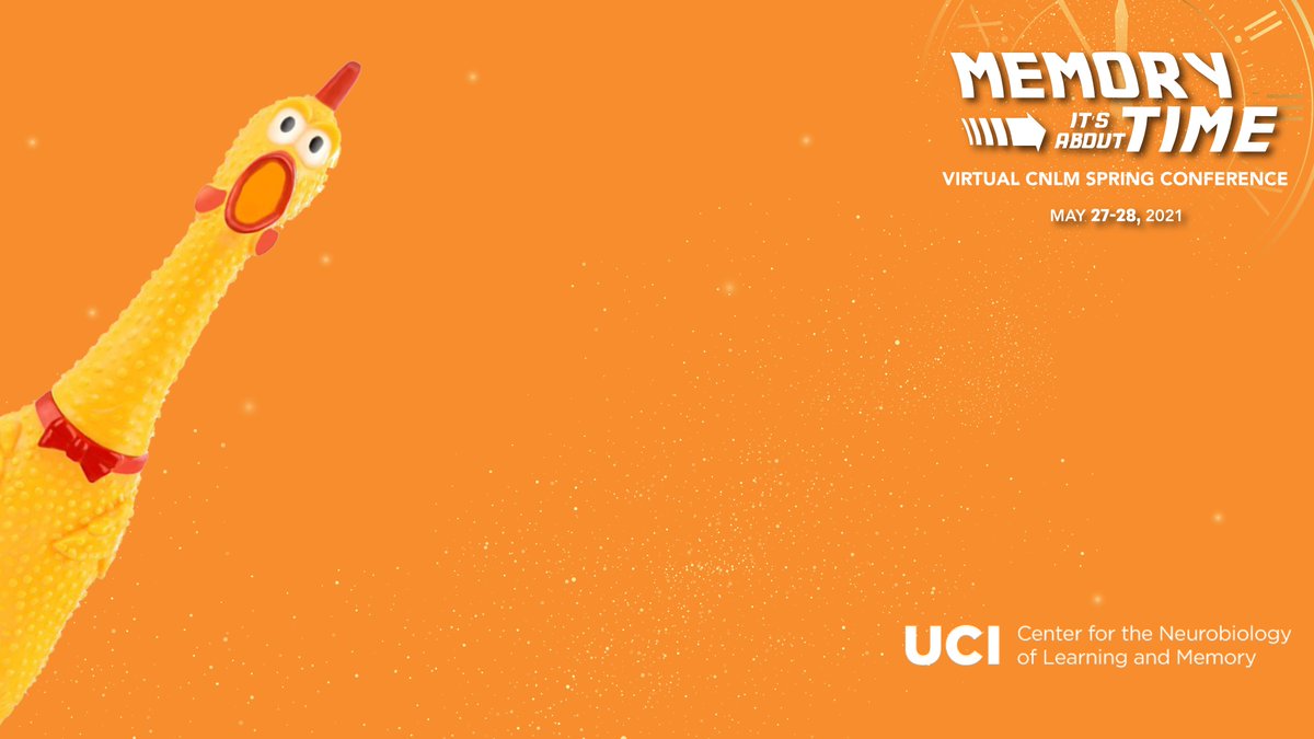 chrastil's tweet photo. I don't think I'm winning the socks based on my talk (I got the chicken!), but maybe I can win them based on my tweeting. Great talks in today's @ucicnlm #CNLM2021 Open Papers session! #memorytime #socks https://t.co/cx1AumifJf