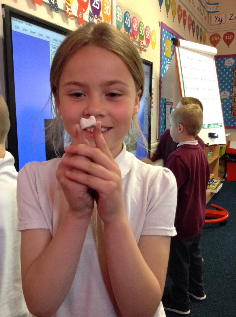 GawthropeHb's tweet photo. In Year 2 we looked at the teeth of humans, horses and lions. We then use plasticene to create different teeth. Can you remember the teeth we get first Year 2? The kind lions and horses also have. One of these animals has a different kind of tooth- a carnassial. https://t.co/CjbtSH1bJS