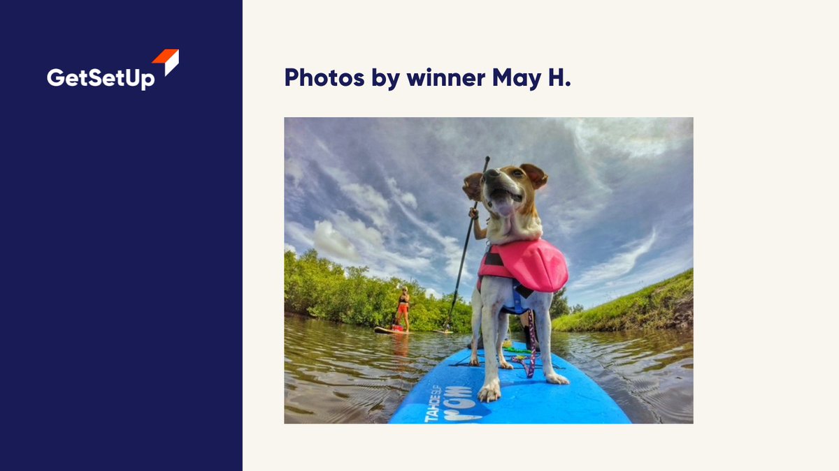 Presenting Guide Scott's photo challenge of the week - dogs winner May H. Way to go May!
 
#GetSetUp #NationalPhotographyMonth #dogs