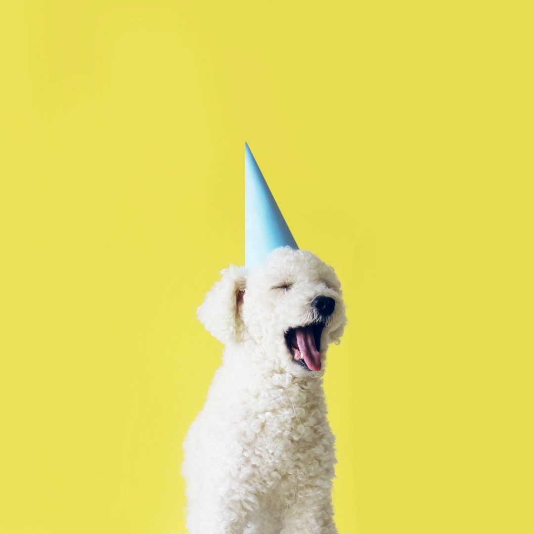 tbgtrains's tweet photo. We like to have fun and we love to motivate! We hope your day and happy and bright! 

#mindset #motivation #success #goals #inspiration #love #believe #life #positivevibes #lifestyle #quotes #selflove #happiness https://t.co/jRKqsIoZWu