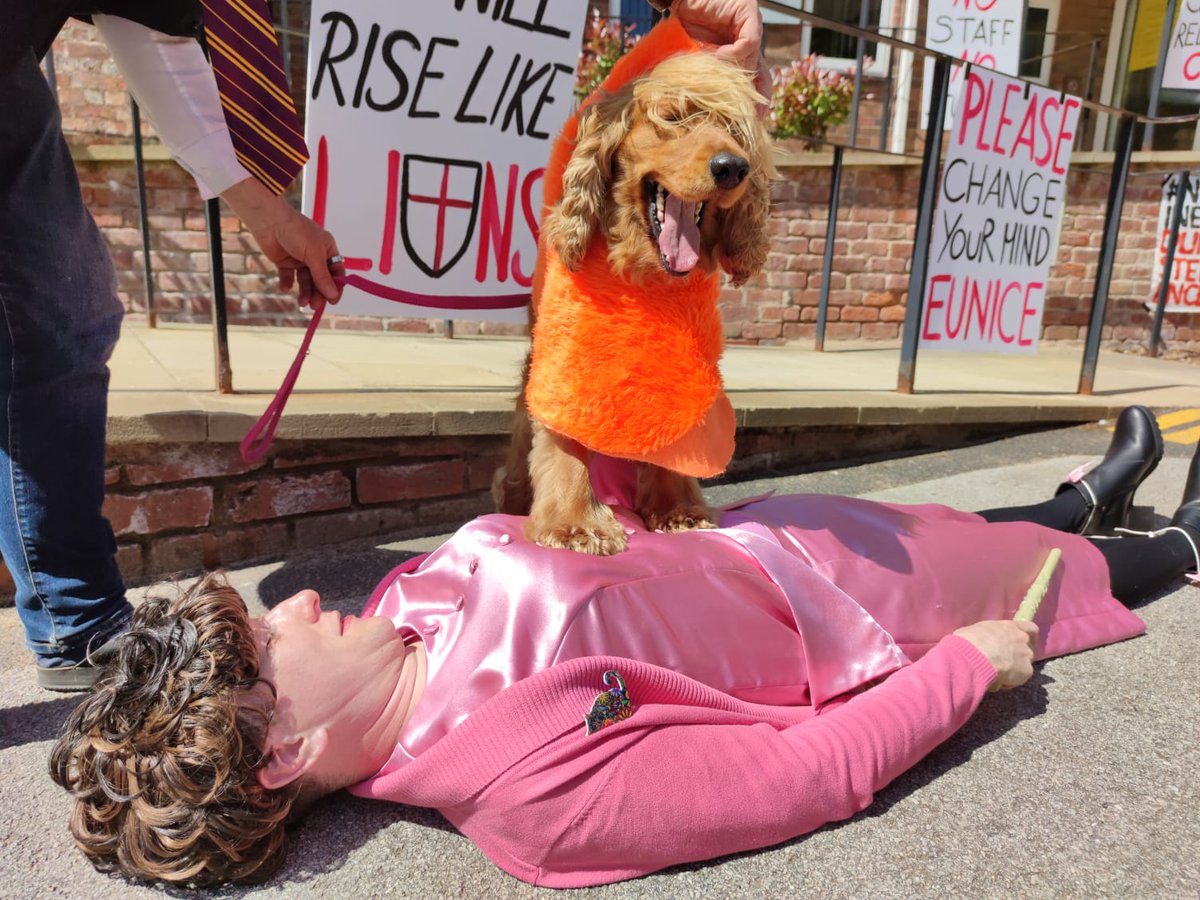 NoRedundanciesChester tweet media