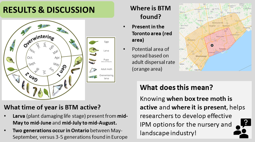 EntoAbbie's tweet photo. Check out my research on the invasive #boxtreemoth in southern Ontario posted as part of #SESGradVConference2021 
Ask questions here and retweet to spread the word about our research efforts!
@UofG_SES @UofG @CscottduDupree #IPM #PheromoneTraps #boxwood https://t.co/cPxY0LeYcm