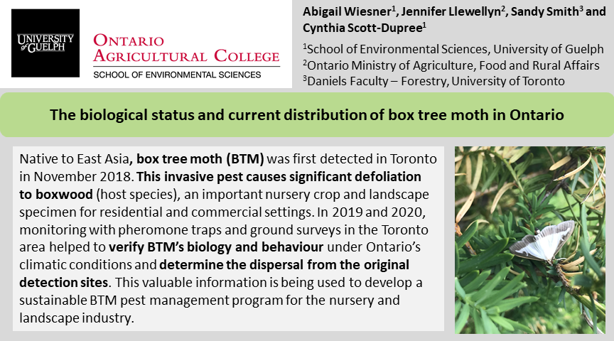 EntoAbbie's tweet photo. Check out my research on the invasive #boxtreemoth in southern Ontario posted as part of #SESGradVConference2021 
Ask questions here and retweet to spread the word about our research efforts!
@UofG_SES @UofG @CscottduDupree #IPM #PheromoneTraps #boxwood https://t.co/cPxY0LeYcm